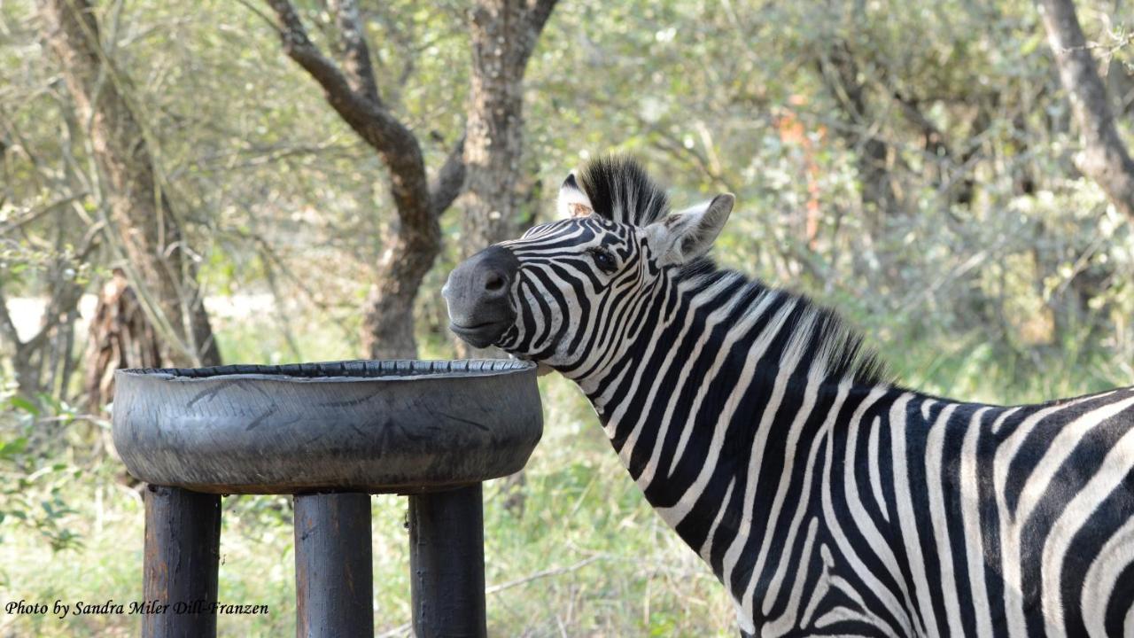 Ubuntu Bed And Breakfast Marloth Park Buitenkant foto